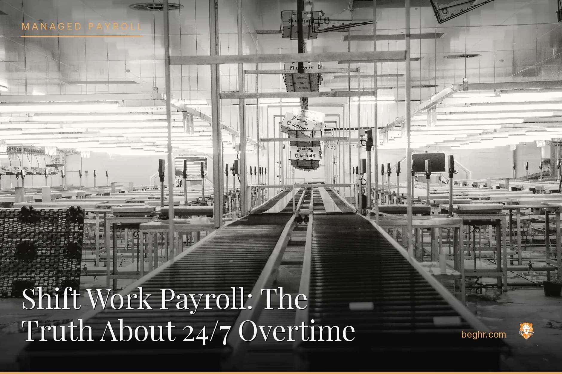 A clean modern factory floor with workers operating machinery