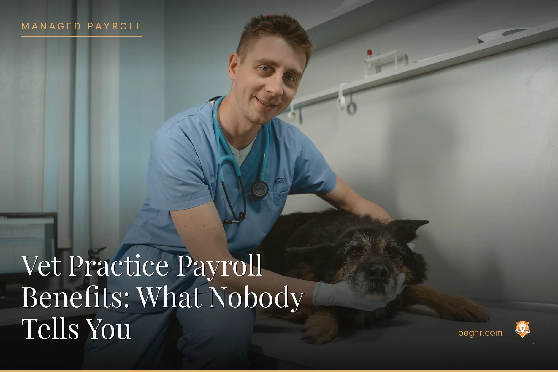 A veterinary clinic with a vet examining a dog, staff assisting