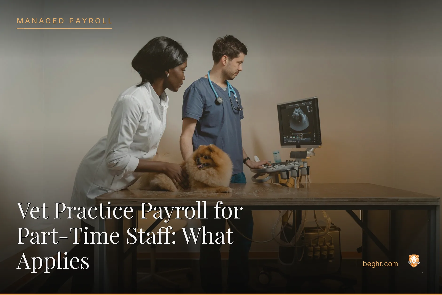 A veterinary clinic with a vet examining a dog, staff assisting