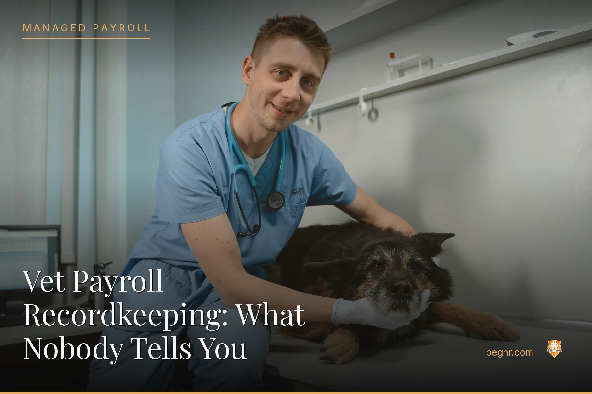 A veterinary clinic with a vet examining a dog, staff assisting