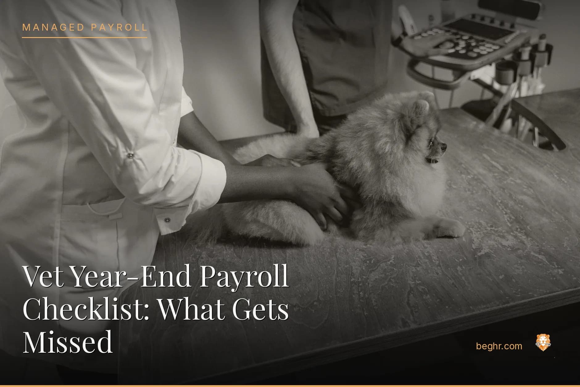 A veterinary clinic with a vet examining a dog, staff assisting